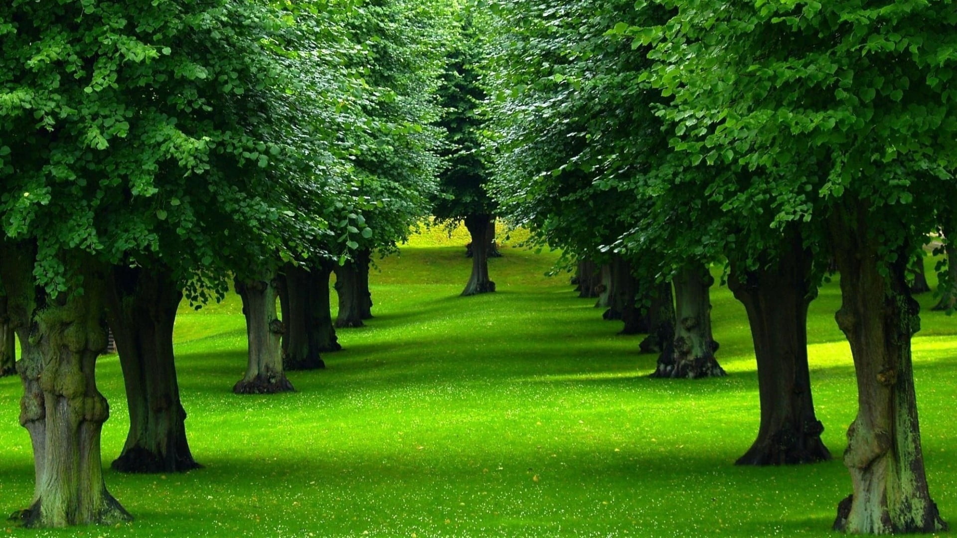 LANDSCAPE GREENS