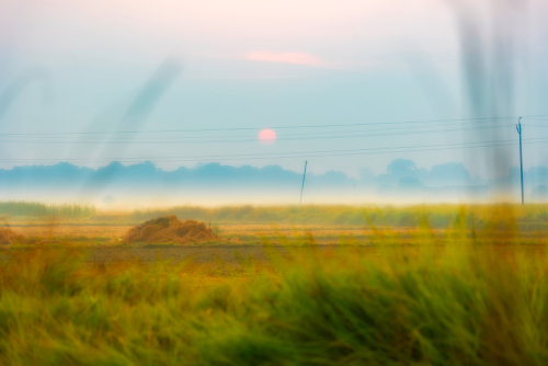 Bhulekh UP: Check Land Records in U.P. (Uttar Pradesh) @ upbhulekh.gov.in